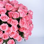 Dazzling Roses In A Box flowers bouquet