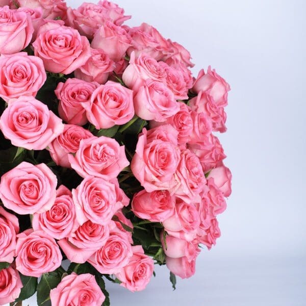 Dazzling Roses In A Box
