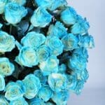Excellent Roses In A Box