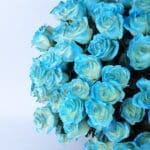 Excellent Roses In A Box