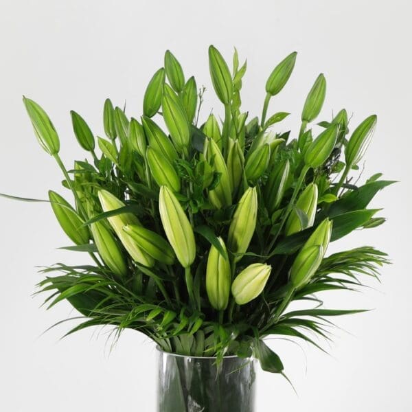 white lilies tall vase 002-min (1) A Tall Vase with Lilies
