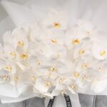 White Phalaenopsis Bouquet