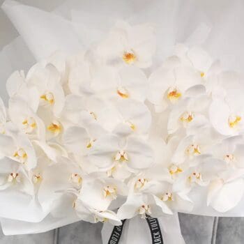 White Phalaenopsis Bouquet