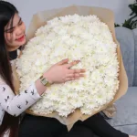 Whitening-Beauty-Chrysanthemum-2