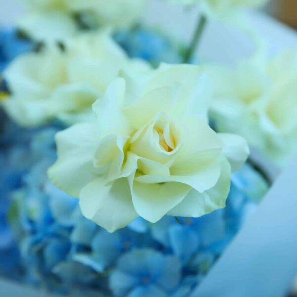 Father's Day Purest Bouquet