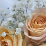 Black Tulip Flowers Qatar