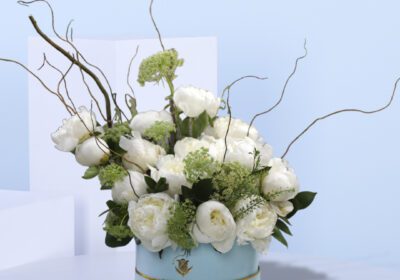 Peonies in box