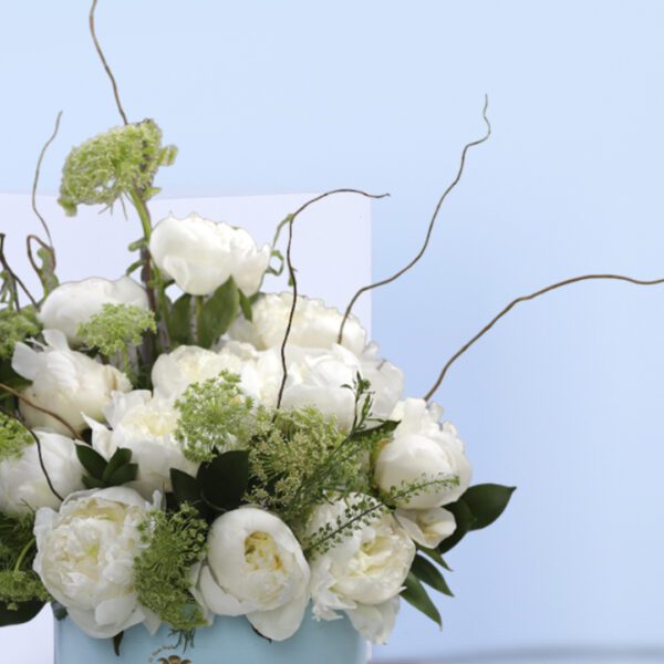 Peonies in box