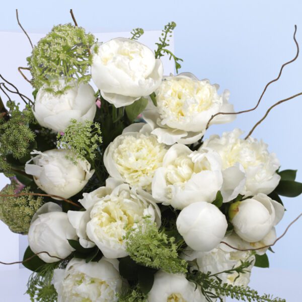 Peonies in box