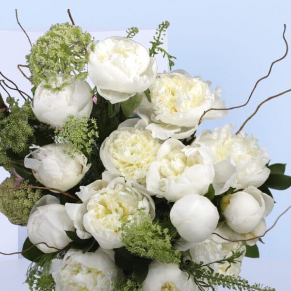Peonies in box