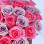 pretty-pink-and-purple-rose-box_2026_03