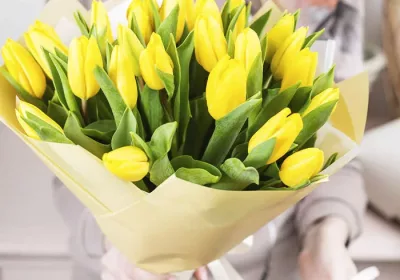 Yellow Tulip Bouquet for for any occasion