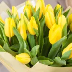yellow_tulip_bouquet_2_-jpg