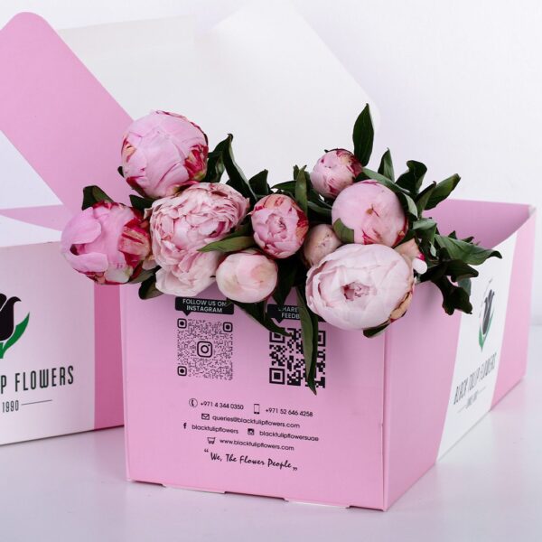 Pink Peonies in Pink Box online in Qatar