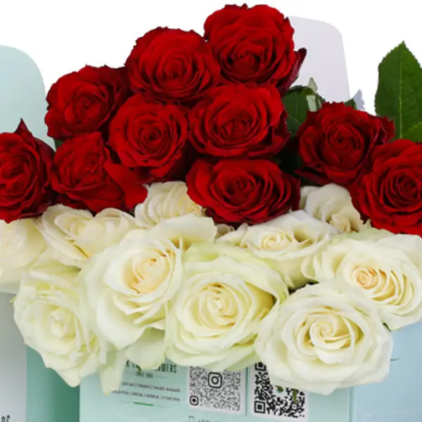 Red-and-White-Rose-Green-Box-3-600x600 Red and White Roses in Green Box