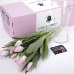 tulip_pink_03-jpg-600x600