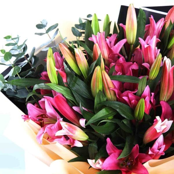 Stargazer Pink Lilies Qatar 1-min Stargazer Pink Lilies Bouquet qatar
