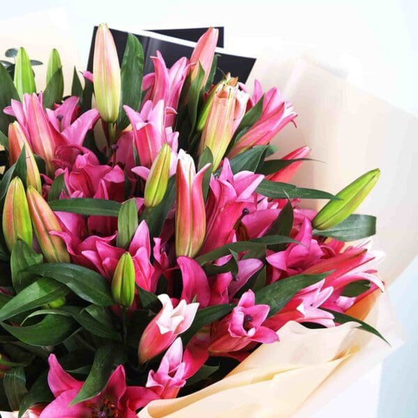 Stargazer Pink Lilies Qatar 2-min Send Stargazer Pink Lilies Bouquet