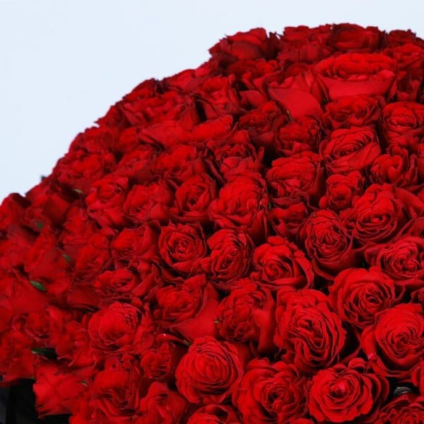 Love Blossoms bouquet 3 Love Blossoms bouquet in qatar