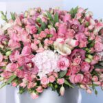 delightful-pink-blooms_2026_04