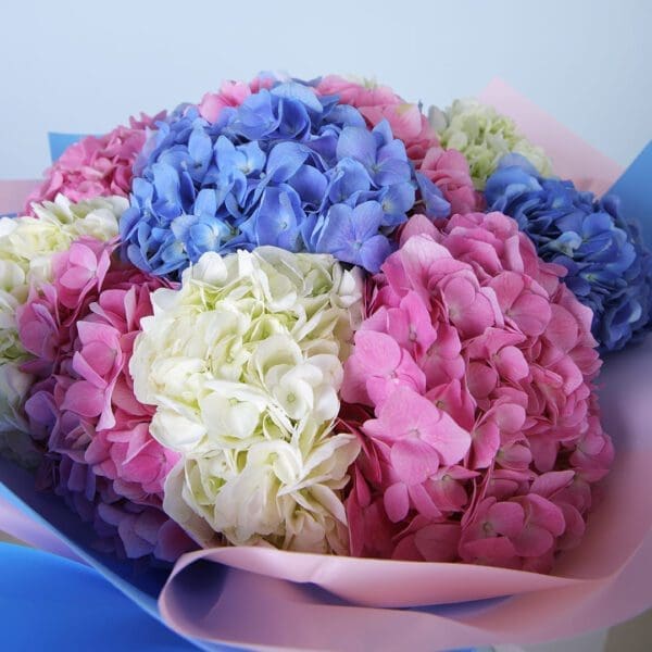 hydrangea bouquet delivery 1 Hydrangea Bouquet online