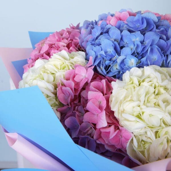 hydrangea bouquet delivery 2 Mixed Hydrangea Bouquet