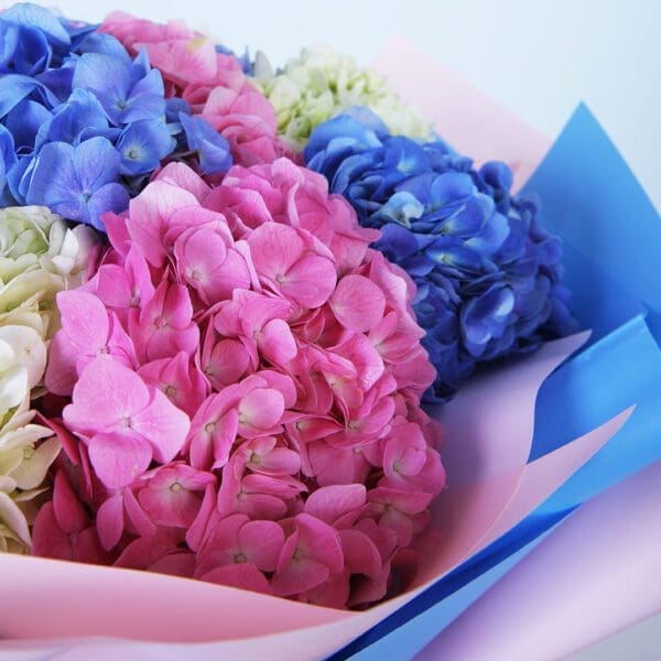 hydrangea bouquet delivery 3 Bouquet of hydrangea online