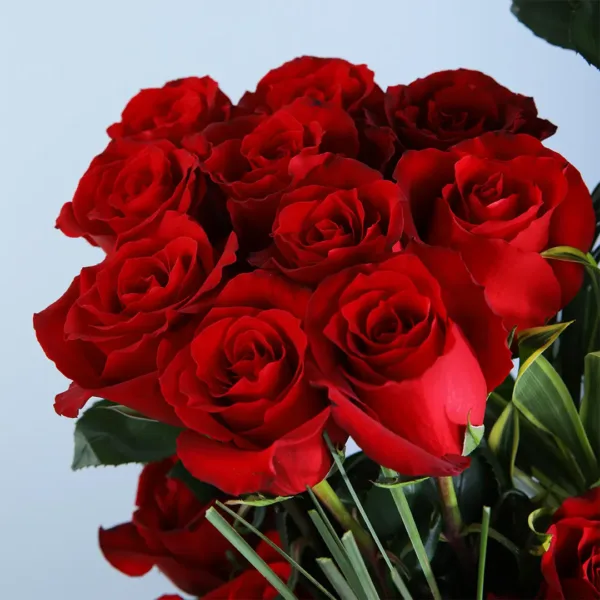 Red Roses