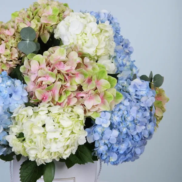 Blossoming Love Hydrangeas Box