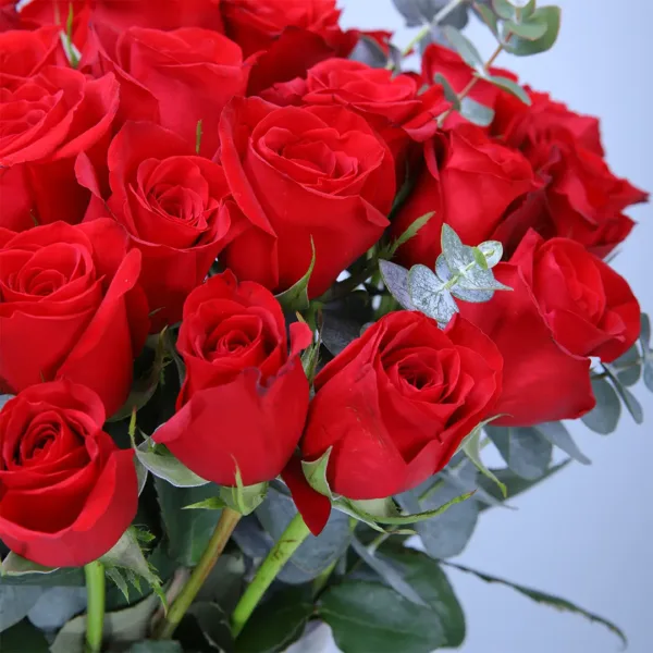 red roses in vase