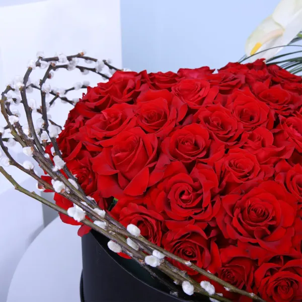 Best Gift for Valentines Day heart shape