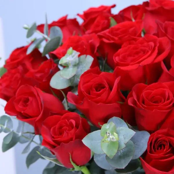 red roses in vase