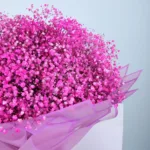 Pink Gypsophila Bouquet