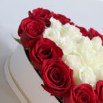 heart shaped1