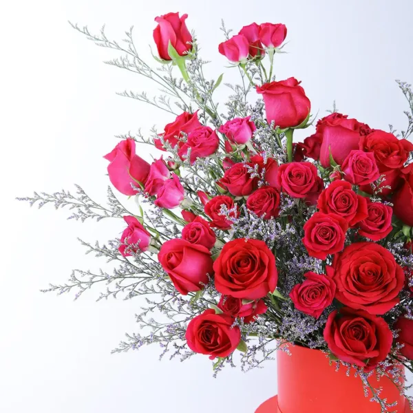 Bright Pink Roses
