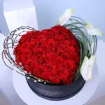Heart-Images