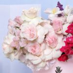 artful-pink-box-2026_03