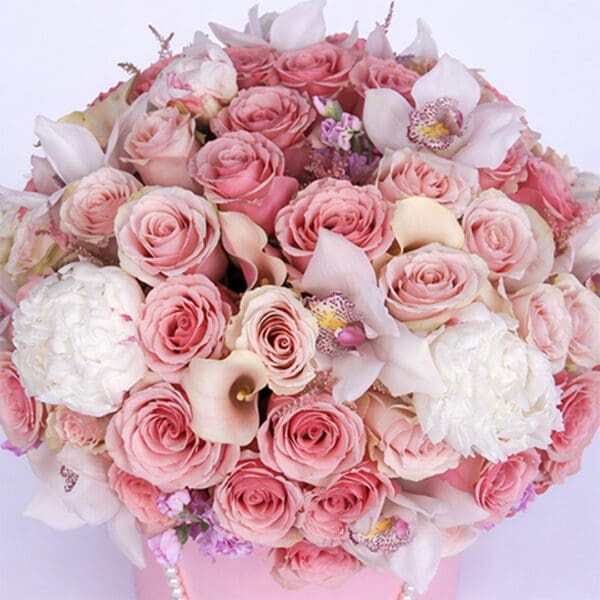modish-pink-combination-2026_02