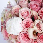 modish-pink-combination-2026_03