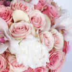 modish-pink-combination-2026_04