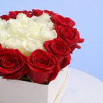 my-valentine-2026_03