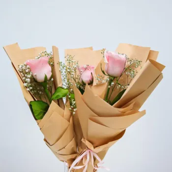 Single Pink Rose Wrapped with Gypso