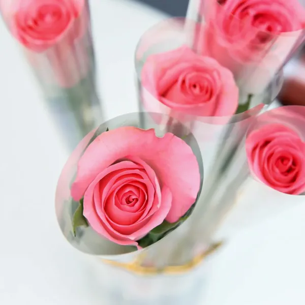 single stem light pink rose wrapped