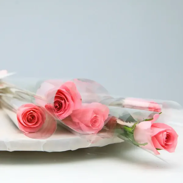 single stem light pink rose wrapped