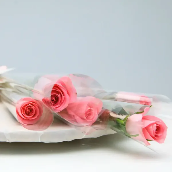 01-016-1 single stem light pink rose wrapped