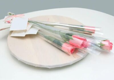 Single stem light pink rose with delicate petals and a green stem, symbolizing love and admiration.