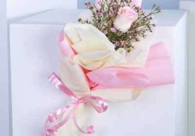 A single stem of Candy Girl Pink flower surrounded by delicate Caspia, creating a charming bouquet.