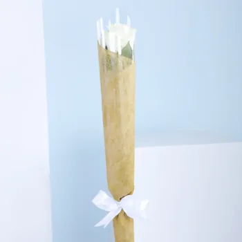 Single rose stem
