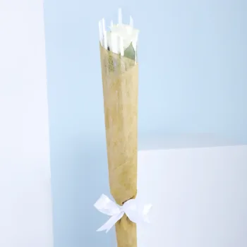 A solitary white rose, delicately wrapped in lush green foliage, representing elegance and grace.