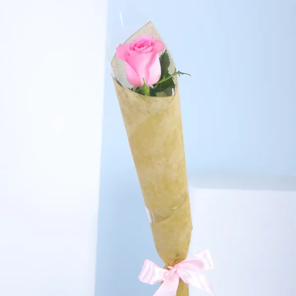 Single pink rose wrapped